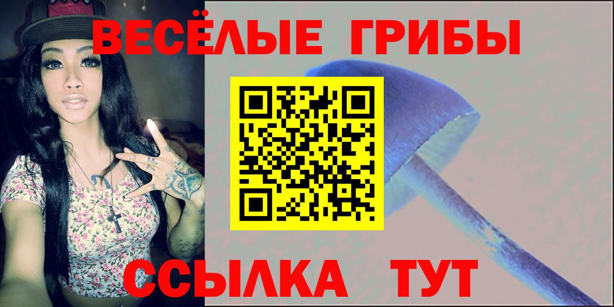 Псилоцибиновые грибы GOLDEN TEACHER  Вход с VPN  Орск  Галлюциногенные грибы Magic Shrooms 