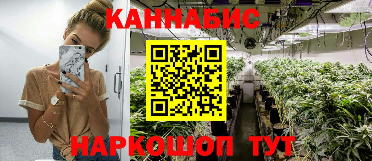 Каннабис Bruce Banner  Вход с VPN  Конопля ГИДРОПОН  Орск  МАРИХУАНА AK-47  Канабис Amnesia 